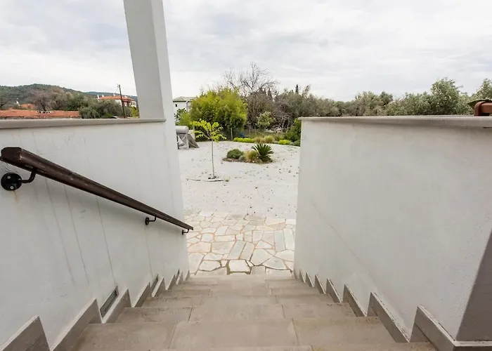 The Olive 펜션 코로피