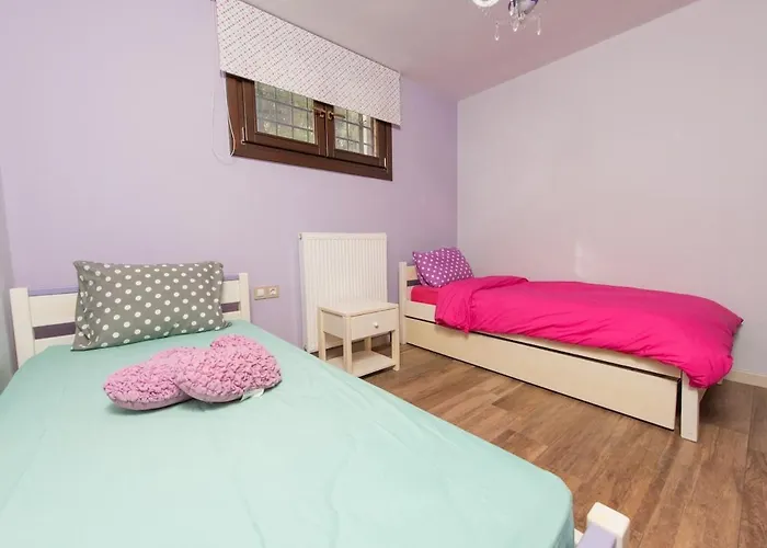 The Olive * 코로피