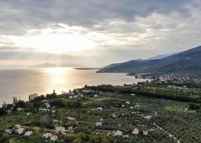 The Olive 펜션 코로피