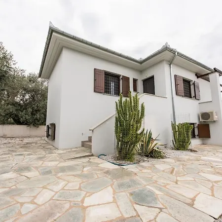 The Olive Nyaraló *