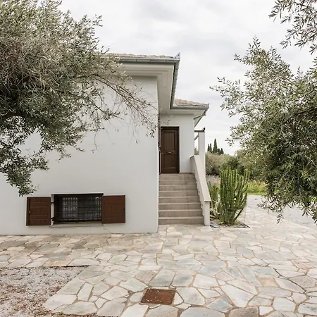 Nyaraló The Olive *